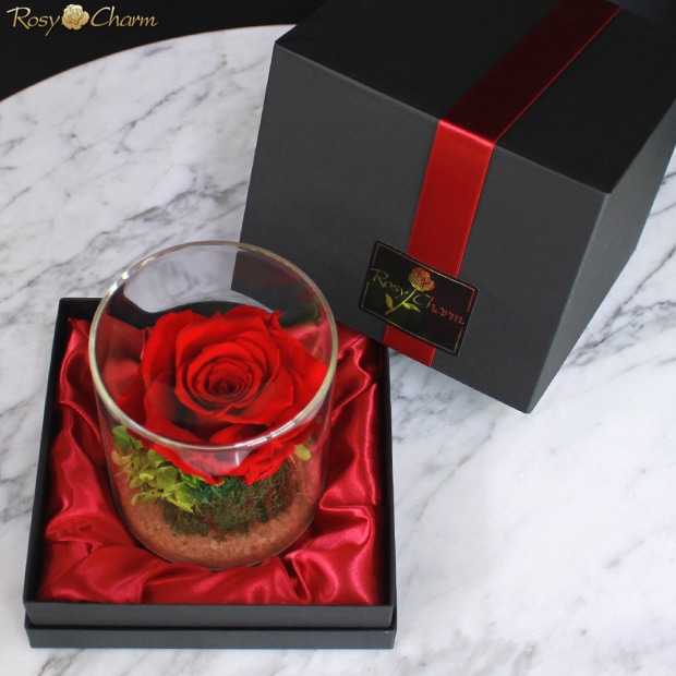 �ץꥶ���֥ɥե� ���饹�ɡ�������ؤΥХ����