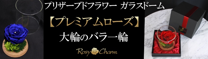 メッセージローズ バラの花束 誕生日フラワーギフトのロージーチャーム