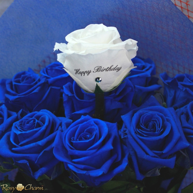 �ĥХ� ��« �ץꥶ���֥ɥե��ò֤Ӥ�˥�å���������