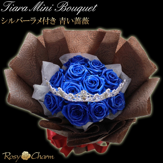 դΥХ ץꥶ֥ɥեåƥߥ˥֡Ĥ«