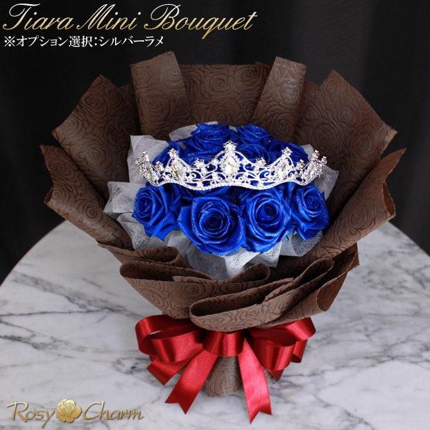 СդĥХ ץꥶ֥ɥեåƥߥ˥֡