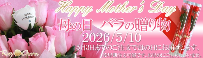 ����� �Х�β�« ���ե��ý� 2026