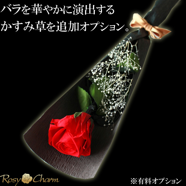 Х1ܤåץꥶ֥ɥե