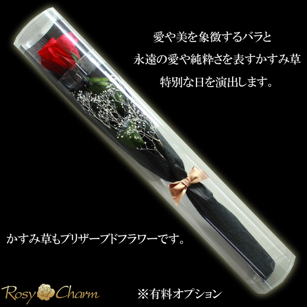 Х1ܤåץꥶ֥ɥեåꥢ