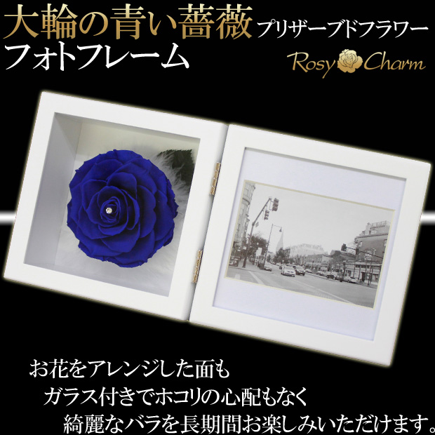写真立てギフト｜青いバラ