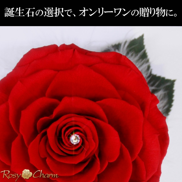フォトフレーム｜大輪の赤い薔薇【写真立て】一輪のバラ プリザーブド