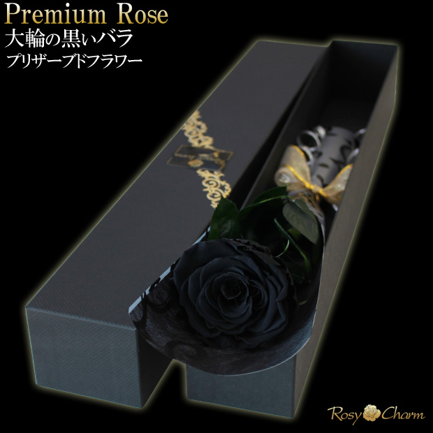 �����Х飱�ܥץꥶ���֥ɥե���Ȣ����