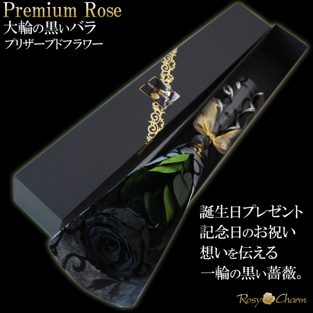 ����������ǰ�����ץ��ݡ�����£������Х�