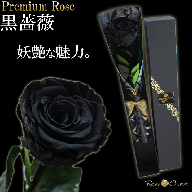 ���̤��ۤ���������֥�å�������