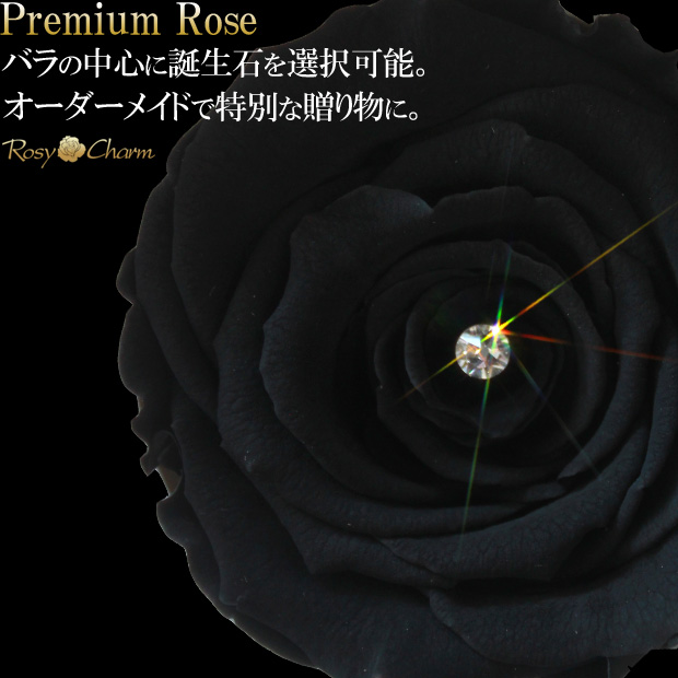 �鯤��濴�������Сå����������㡼��