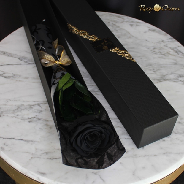 1�ؤι����Х���ڤ˥�åԥ�