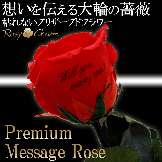 大輪の赤いバラ1本【プレミアム】メッセージローズ プリザーブド