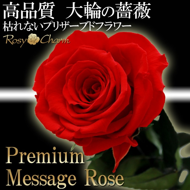 大輪の赤いバラ1本 プレミアム メッセージローズ プリザーブドフラワー
