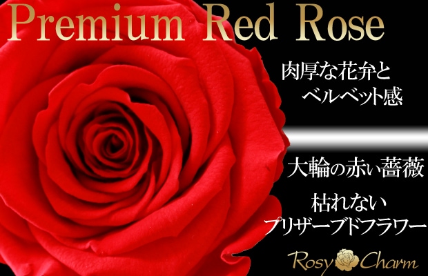 大輪の薔薇｜プレミアムローズ｜赤