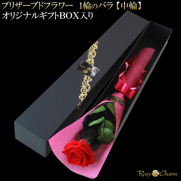 �Ϥ�ʤ� �Х���ءù��ץꥶ���֥ɥե� ���ե�