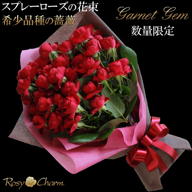 ץ졼Хβ«ôʼ ֤Х