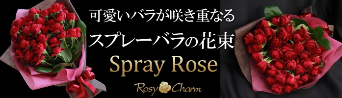 ץ졼Хβ«뺧ǰץݡ