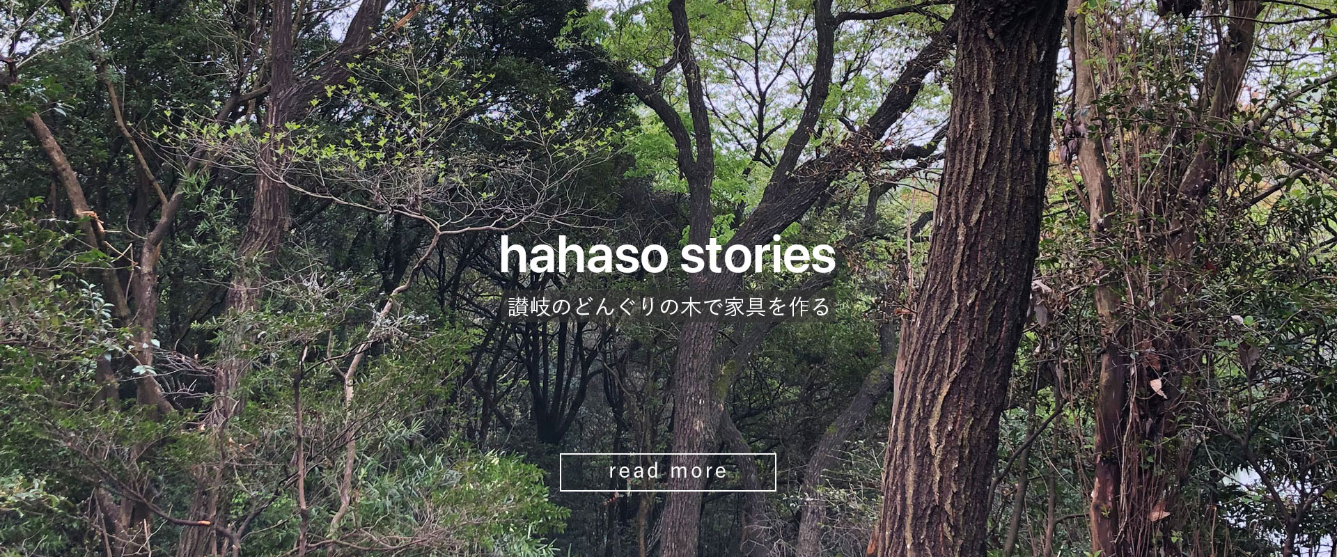 hahaso stories 讃岐どんぐりの木で家具を作る