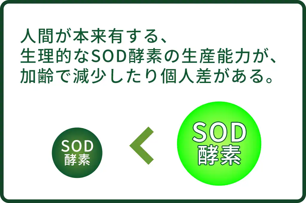 人間が本来有する、生理的なSOD酵素の生産能力が、加齢で減少したり個人差がある。