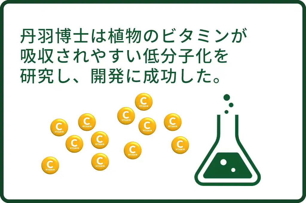 丹羽博士は植物のビタミンが吸収されやすい低分子化を研究し、開発に成功した。