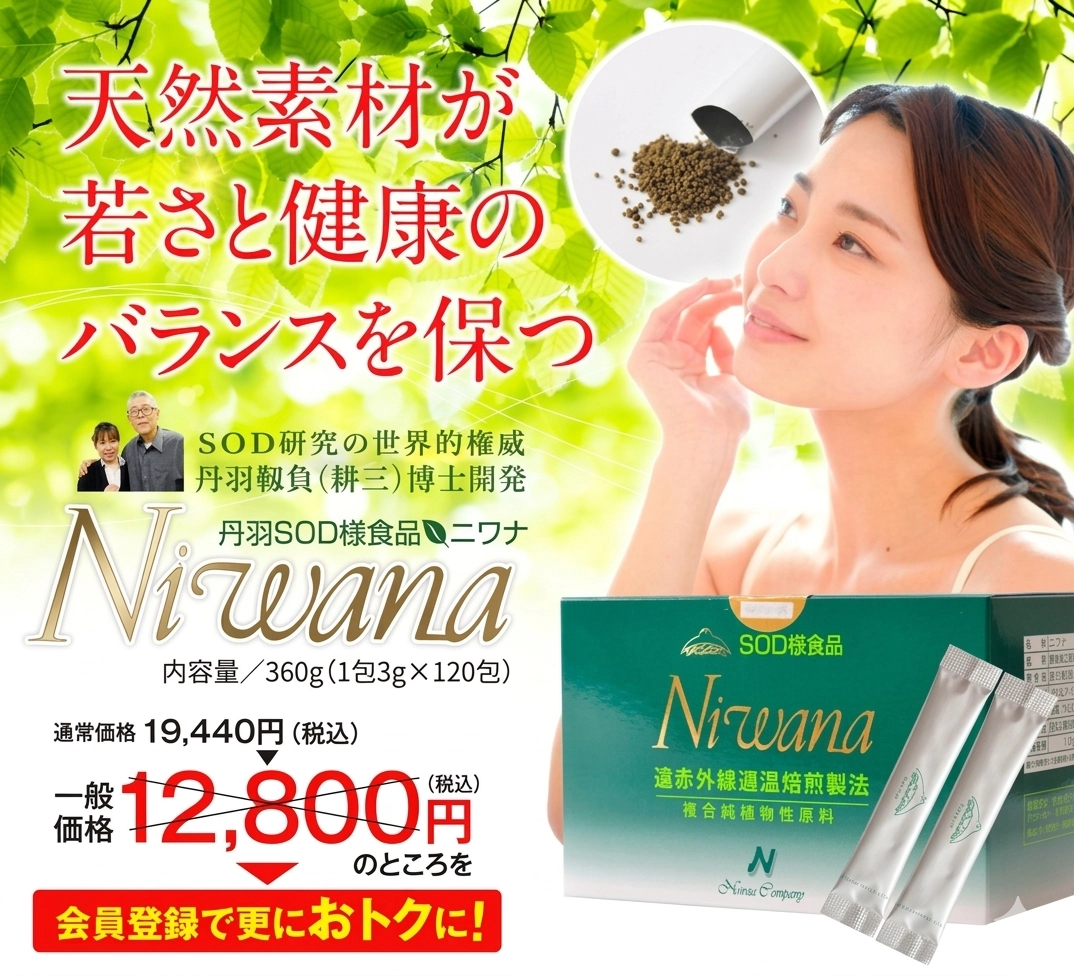 Niwana120包