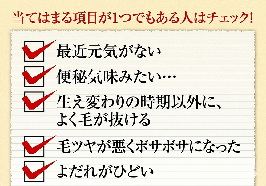 当てはまる項目が1つでもある人はチェック!