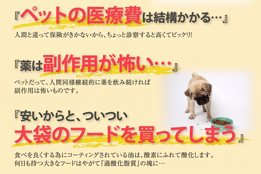 ペットの医療費は結構かかる…