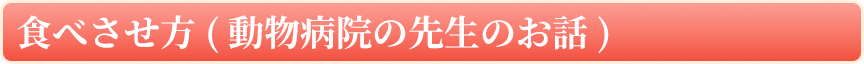 食べさせ方（動物病院の先生のお話）