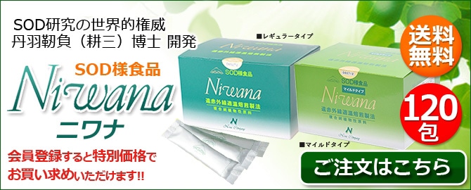 ラッピング無料 丹羽SOD ニワナ Niwana レギュラー 120包 10箱セット