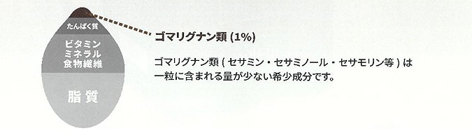胡麻特有の成分・ゴマリグナン類