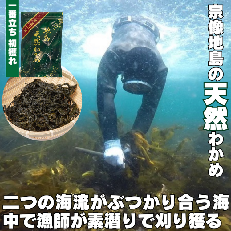 ��ʪ�����դ����������ָ���狼�� ����ŷ���狼��ʰ���Ω�� ��ͤ�ˡס�����8ǯ���� ��3�ޡ�6�ޡ���¢��
