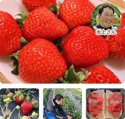 ���ե�����ν��������ޤ����̿�