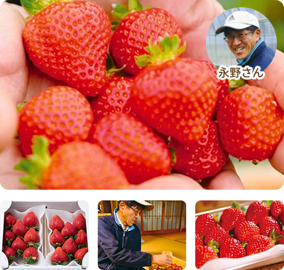 ����󤢤ޤ����̿�