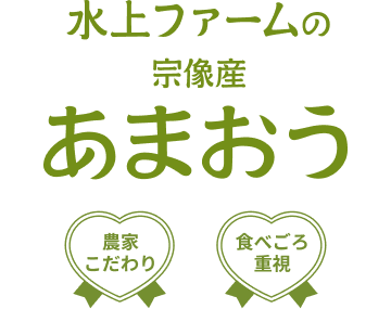 ���ե�����ν��������ޤ���