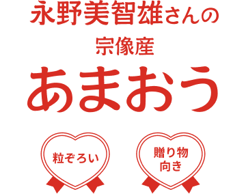 ��������ͺ����ν��������ޤ���