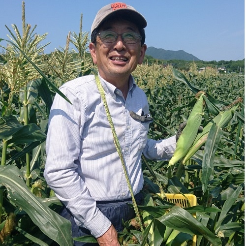 道子さんの旬のお野菜詰合せセット ３ ４ 冷蔵 農産物 野菜類 公式通販 道の駅むなかたオンライン