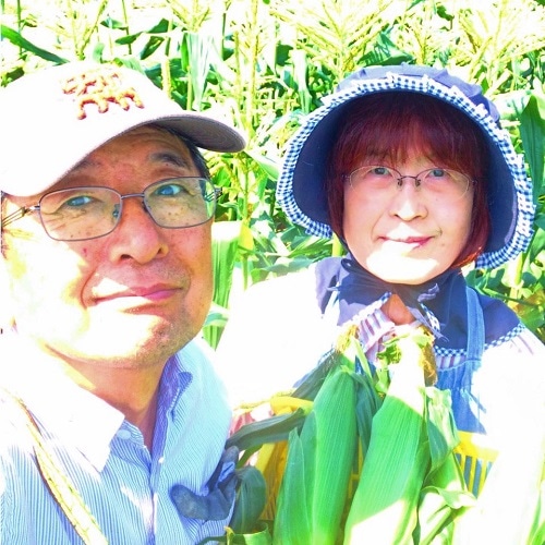 道子さんの旬のお野菜詰合せセット ５ ０ 冷蔵 農産物 野菜類 公式通販 道の駅むなかたオンライン