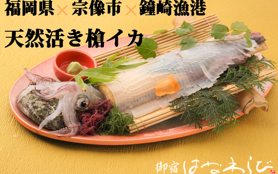 鐘崎産天然活き槍イカ姿造り 1杯 150g 180g 御宿はなわらび 冷凍 海産物,活魚・水産加工品 公式通販 ショップ