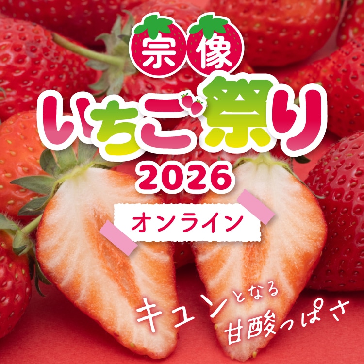 �������פ�2026