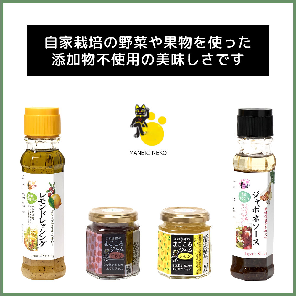 むきもの技法三巻セット主婦の友社 書籍検索 - 株式会社 主婦の友社 主婦の友社の本