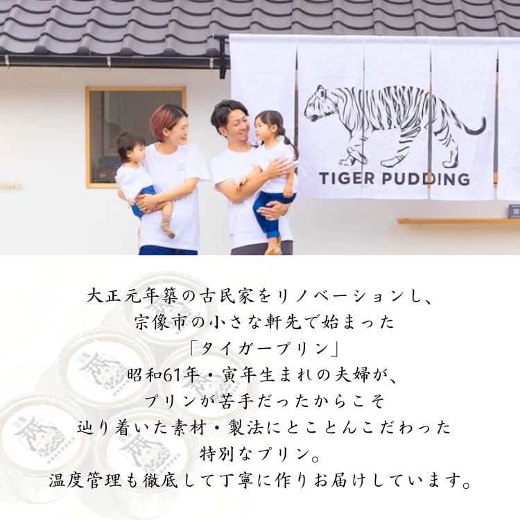 タイガープリン 極上プリン食べ比べセット 4個セット／6個セット【冷蔵