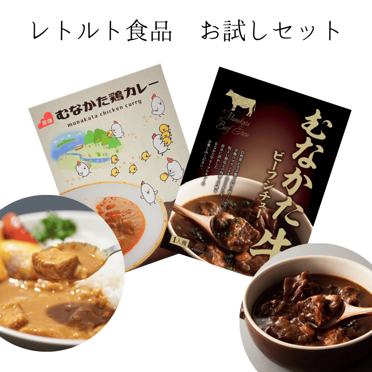 むなかた牛ビーフシチュー むなかた鶏カレー お試しセット