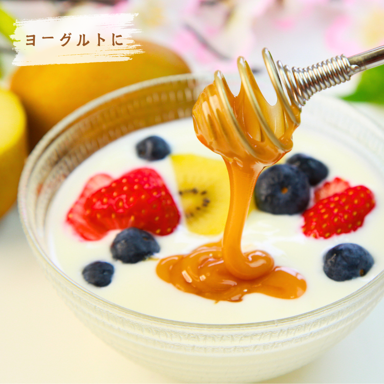 100%純粋 ブルガリア産はちみつ 食べ比べ3本セット | 加工食品,その他