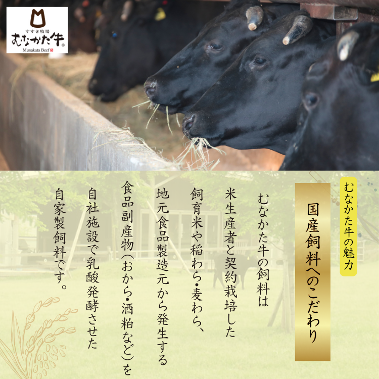 むなかた牛 塩もつ鍋セット（2人前）×2セット 【冷凍】 | 肉フェア