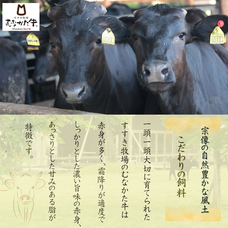 むなかた牛 塩もつ鍋セット（2人前）×2セット 【冷凍】 | 肉フェア