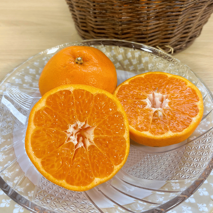 今期終了】大人気！甘くてジューシーな春柑橘 はるみ 3kg／5kg（中村