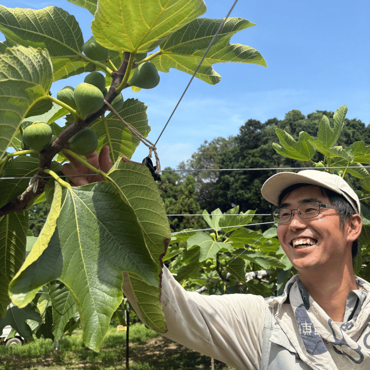 早期予約キャンペーン】中村農園 旬の果実食べ比べセット（シャイン