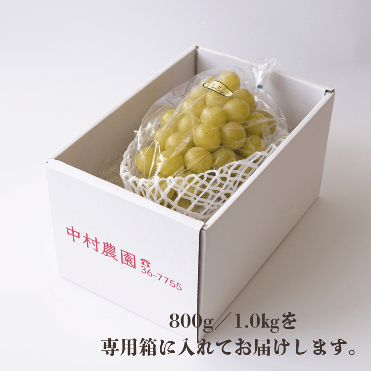 今期分終了】宗像・中村農園のコトピー (1房) 800g／1kg | 農産物