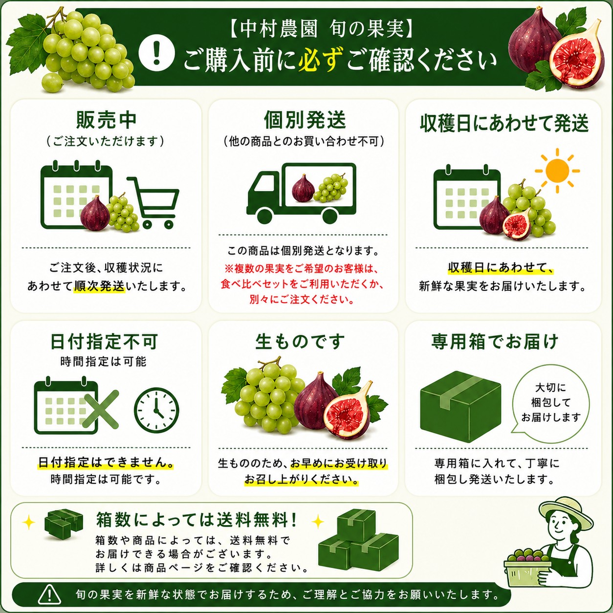 今期販売終了】旬の果実食べ比べセット（シャインマスカット・いちじく