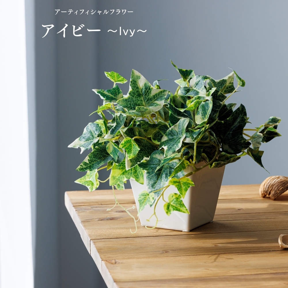造花 Ivy アイビー1